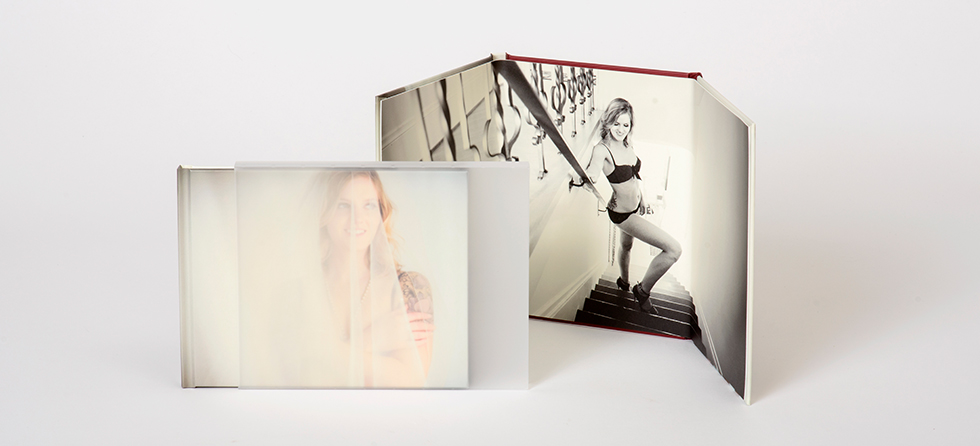 AsukaBook Art Folio and Clear Frosted Plastic Case