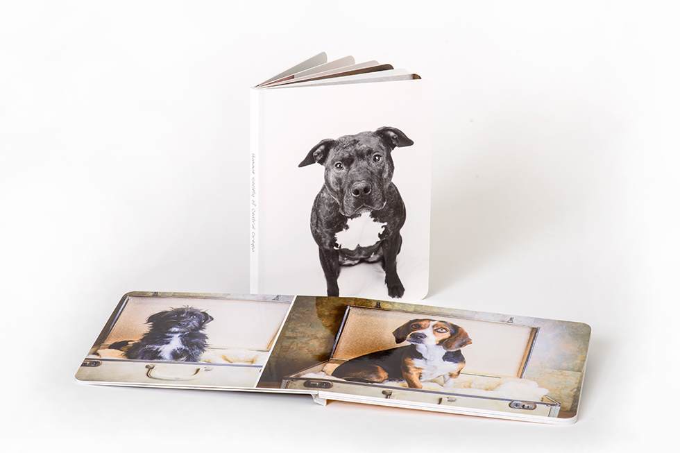 AsukaBook Curve Photo Book comes with layflat binding and thick board pages