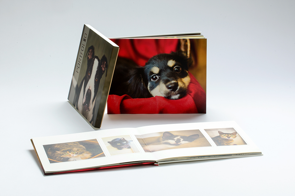 AsukaBook Art Layflat Photo Book layflat binding allows for a seamless fullspread design