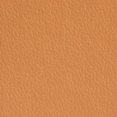 AsukaBook Photo Book Faux Leather Color - Camel
