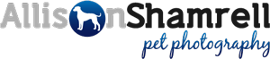 Allison Shamrell Pet Photography logo