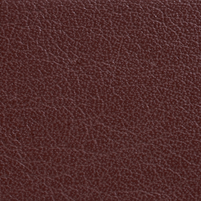 AsukaBook Photo Book Leather Color - Brown