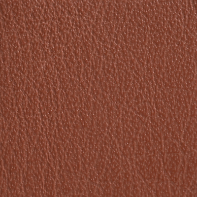 AsukaBook Photo Book Leather Color - Saddle